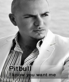 Pitbull - I Know You want me