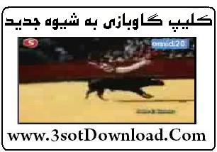 Cow - 3sotDownload.Com